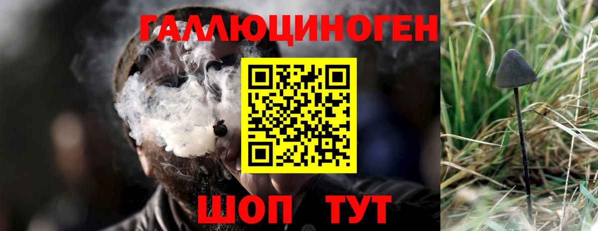 Псилоцибиновые грибы GOLDEN TEACHER  Псилоцибиновые грибы Psilocybe  Вход с VPN  Норильск 
