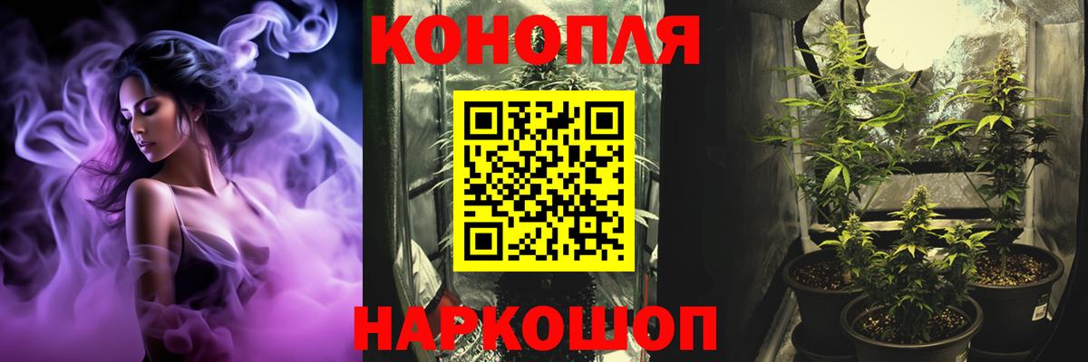Бошки марихуана MAZAR Норильск